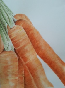 Crunchy Carrots crop